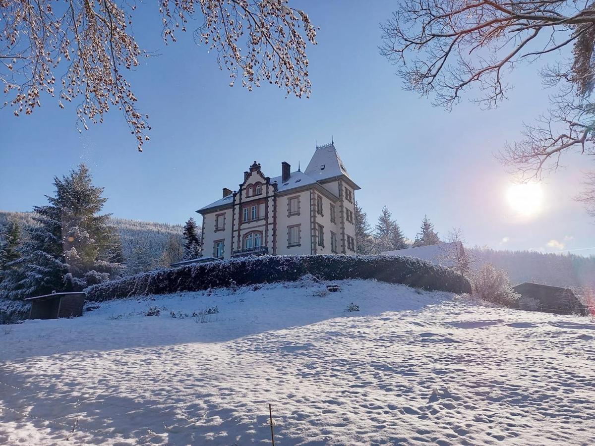 Chateau Robert Raon-lʼÉtape エクステリア 写真