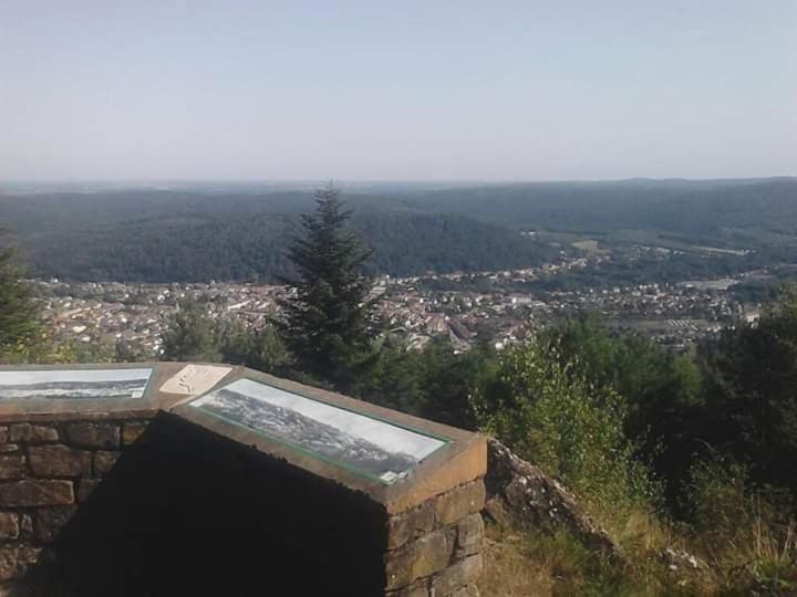 Chateau Robert Raon-lʼÉtape エクステリア 写真