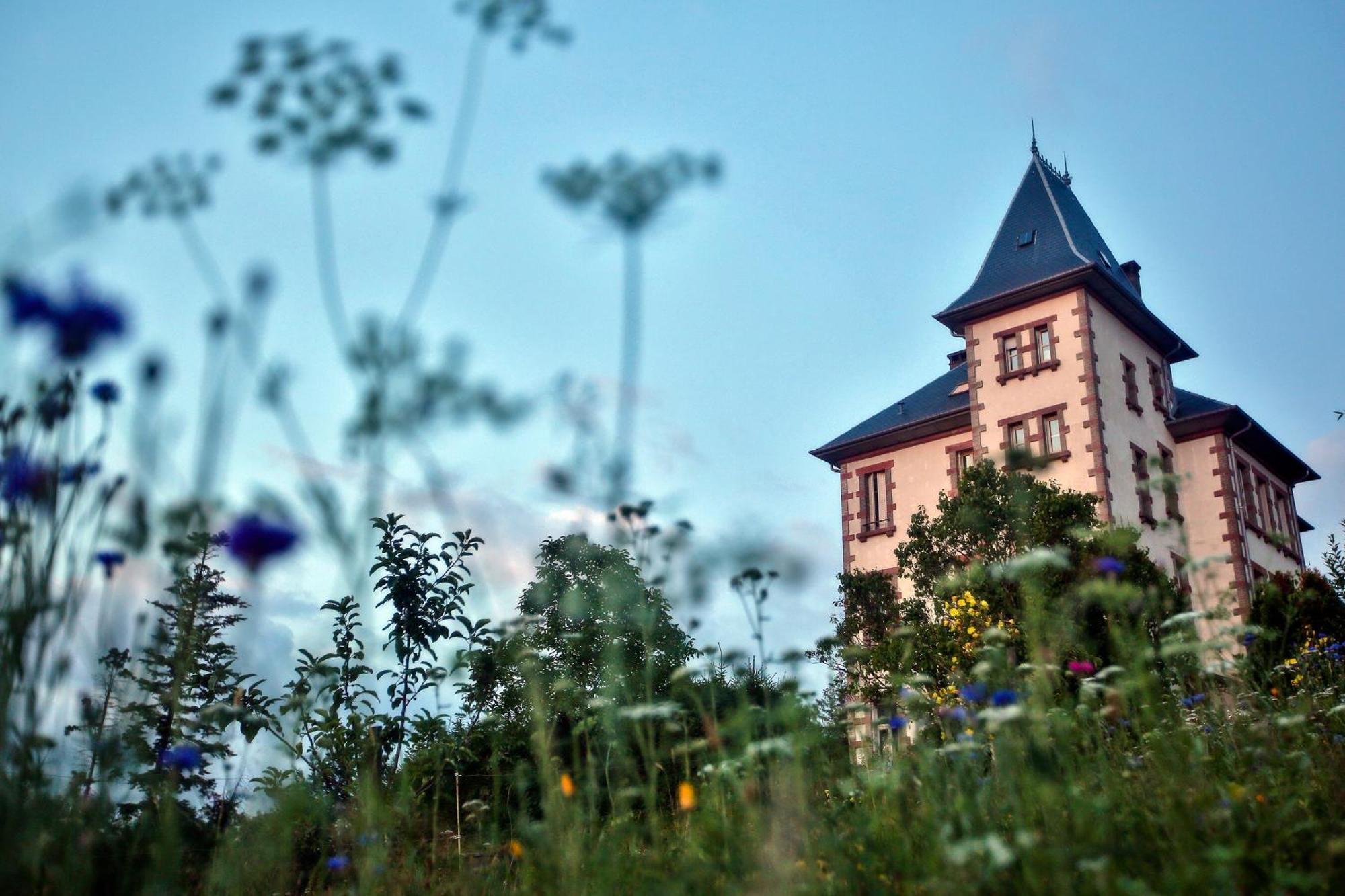 Chateau Robert Raon-lʼÉtape エクステリア 写真