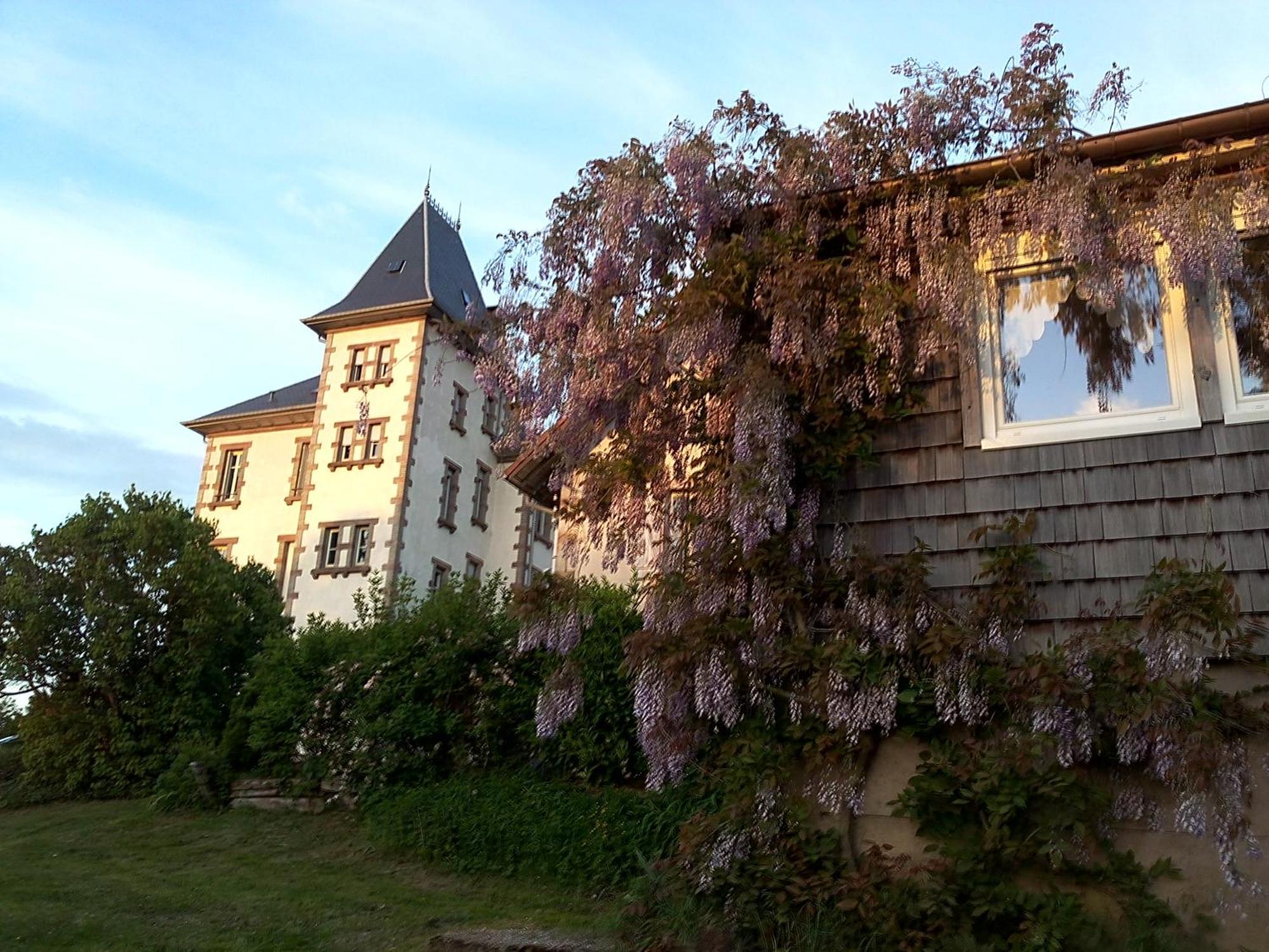 Chateau Robert Raon-lʼÉtape エクステリア 写真