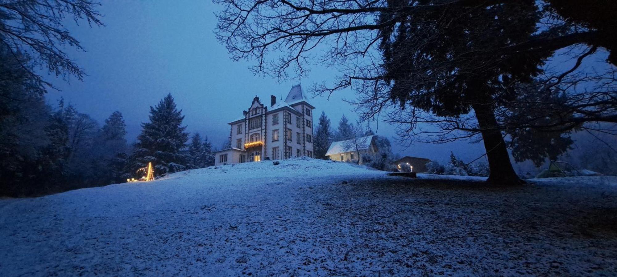 Chateau Robert Raon-lʼÉtape エクステリア 写真